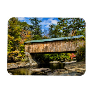 Imán Puente cubierto de Montgomery con follaje de otoño