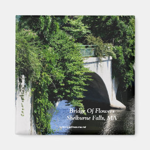 Imán Puente De Flores Shelburne Cae MAMÁES Magnet