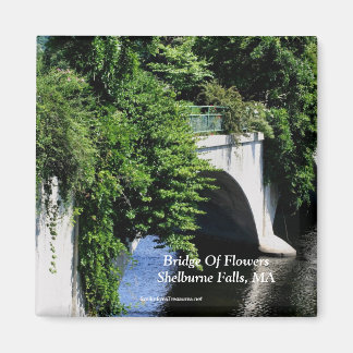 Imán Puente De Flores Shelburne Cae MAMÁES Magnet
