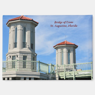 Imán Puente de Leones San Agustín, Florida