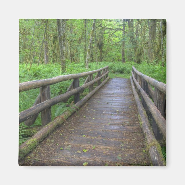 Imán puente de madera Maple Glade trail, helechos y (Frente)
