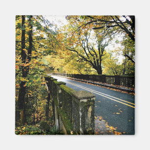 Imán Puente en las cataratas de Latourell, Oregón