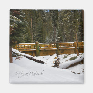 Imán Puente en Wuksachi