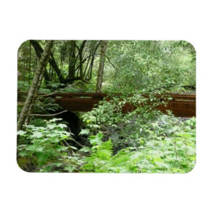 Imán Puente Muir Woods I