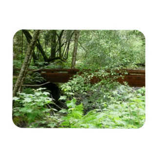Imán Puente Muir Woods I
