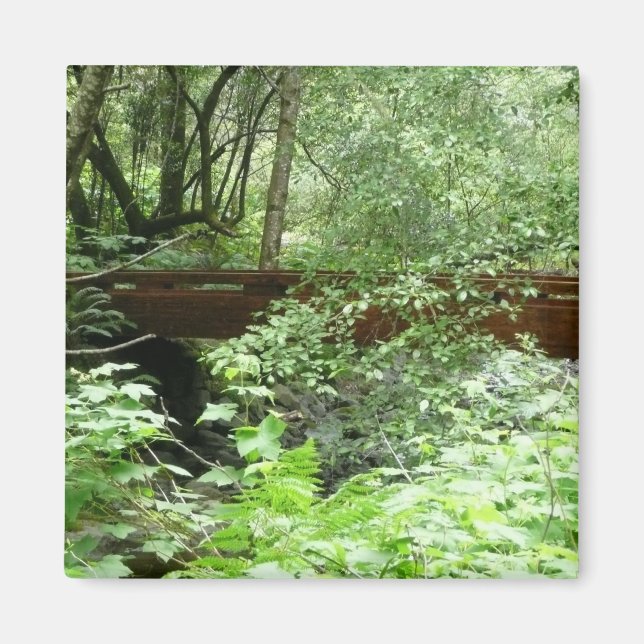 Imán Puente Muir Woods I (Frente)