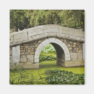 Imán Puente, Palacio de Verano, Beijing, China