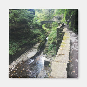 Imán puente robert h. treman state park