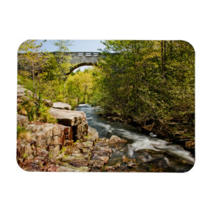 Imán Puente sobre el río