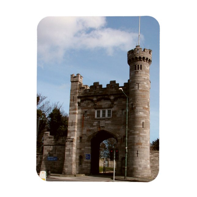 Imán Puerta antigua de la ciudad de Dublín (Vertical)