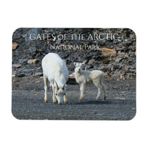 Imán Puertas del parque nacional del Ártico