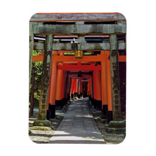 Imán Puertas Torii - Kyoto, Japón, Asia