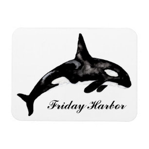 Imán Puerto de viernes