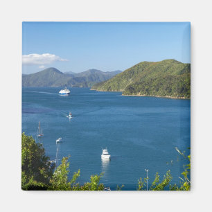 Imán Puerto Picton, Marlborough Sounds, Sur