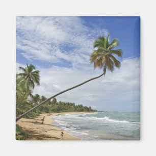 Imán Puerto Rico. Playa de Tres Palmitas Puerto Rico