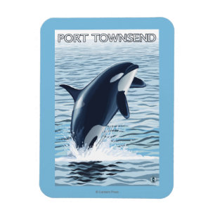 Imán Puerto Townsend, salto de WashingtonOrca