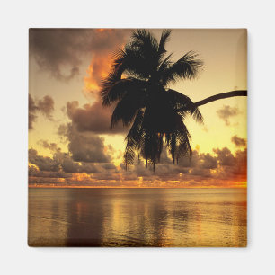 Imán Puerto Vallarta
