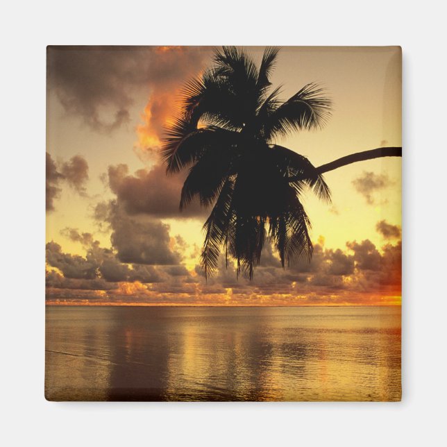 Imán Puerto Vallarta (Frente)