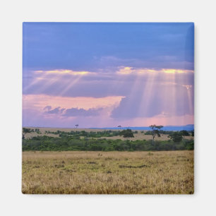 Imán Puesta de sol en el Masai Mara.