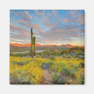 Imán Puesta de sol en paisaje desértico