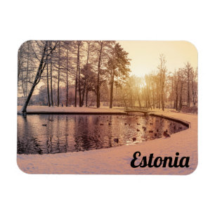 Imán Puesta de sol sobre el parque con un pequeño lago 