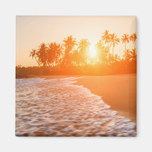 Imán Puesta del sol en la playa con las palmas de coco