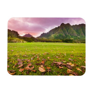 Imán Puesta del sol jurásica