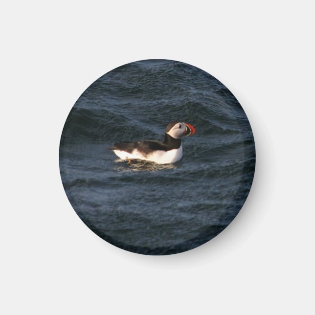 Imán Puffin Magnet (Frente)