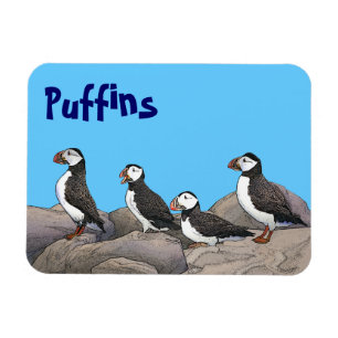 Imán Puffins atlánticos