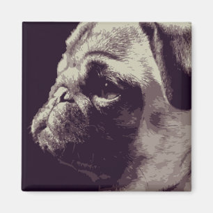 Imán Pug