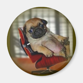 Imán ¡Pug!