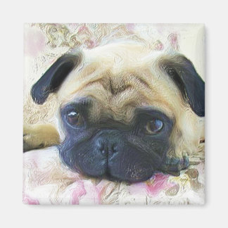 Imán Pug