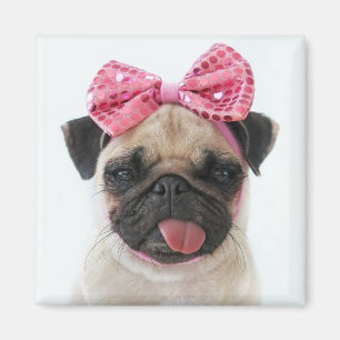 Imán Pug con arco rosado