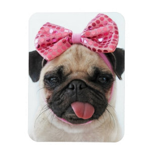Imán Pug con arco rosado