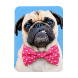 Imán Pug con lazo rosa