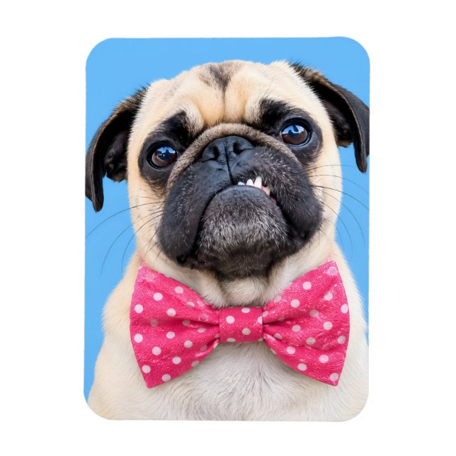 Imán Pug con lazo rosa (Vertical)