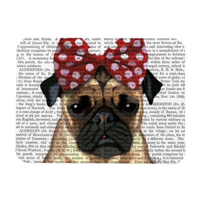 Imán Pug con rojo paro en la cabeza (Horizontal)