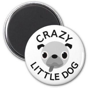 Imán Pug Crazy Little Dog