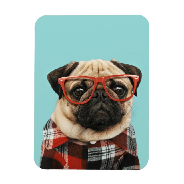 Imán Pug de la camiseta cubierta (Vertical)