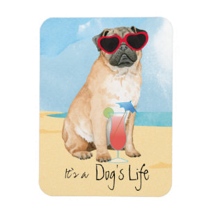 Imán Pug de verano