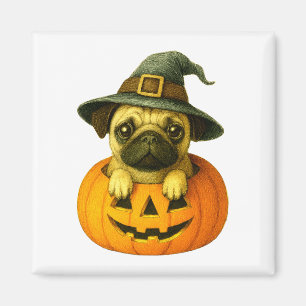 Imán Pug en Calabaza