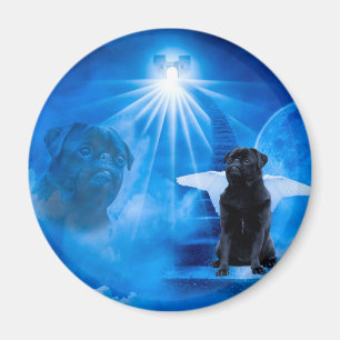 Imán Pug en el cielo como solidaridad de ángel