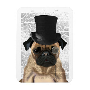 Imán Pug, hebilla formal y Gorra
