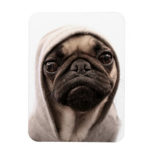 Imán Pug In A Hoodie