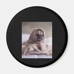 Imán Pug In Blanket Cute Pug Dog Lover Regalo