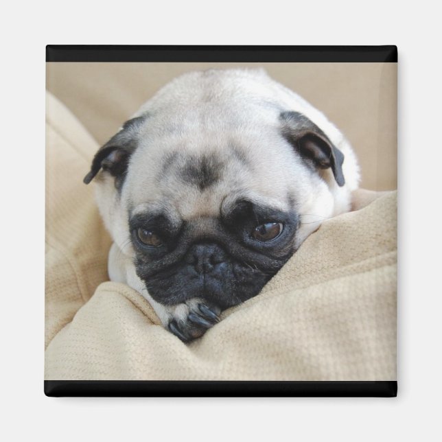Imán Pug Magnet (Frente)