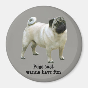 Imán Pug Magnet
