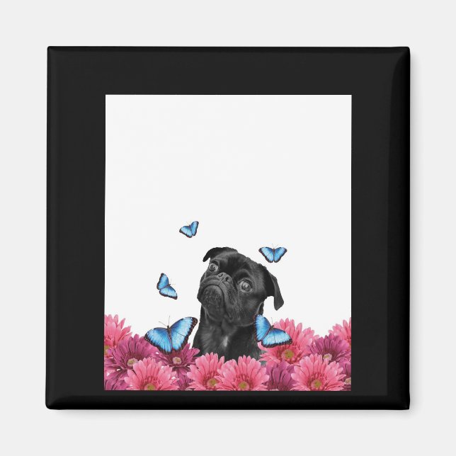 Imán Pug Negro Con Mariposas Azules Y Gerberas (Frente)