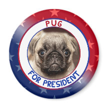 PUG PARA PRESIDENTE