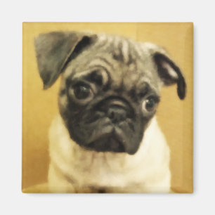 Imán Pug Puppy Magnet